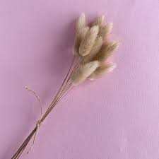 'Bunny Tails' Decor